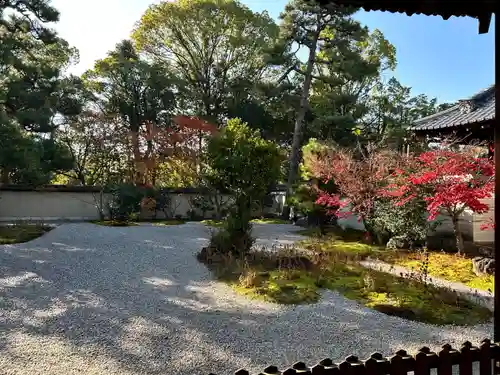 廬山寺（廬山天台講寺）(京都府)