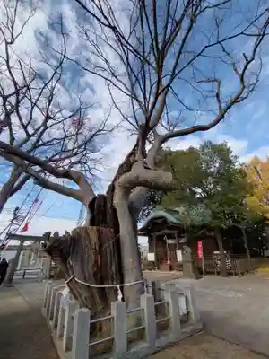 阿邪訶根神社(福島県)