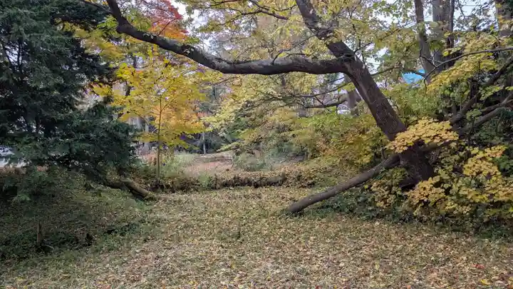 神社(お稲荷様)の自然