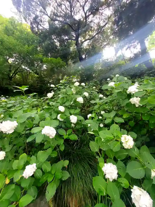 二本松寺(茨城県)