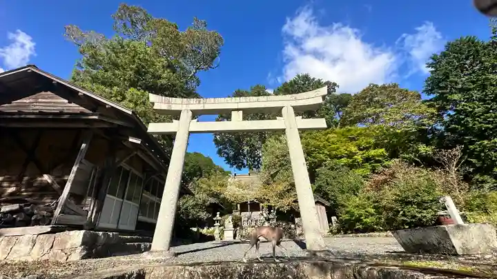鹿島神社(兵庫県)