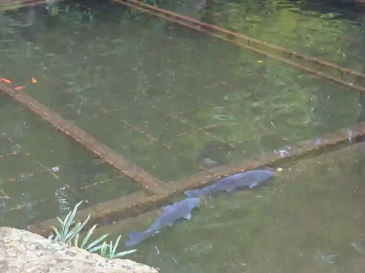 仁科神明宮(長野県)