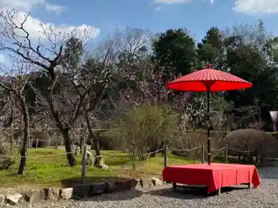 隨心院(随心院)(京都府)