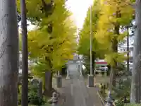 弥生神社(神奈川県)