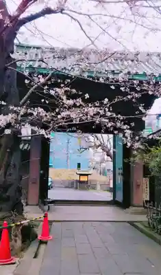 湯島聖堂の山門・神門