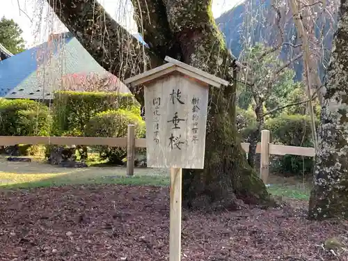 久遠寺(山梨県)