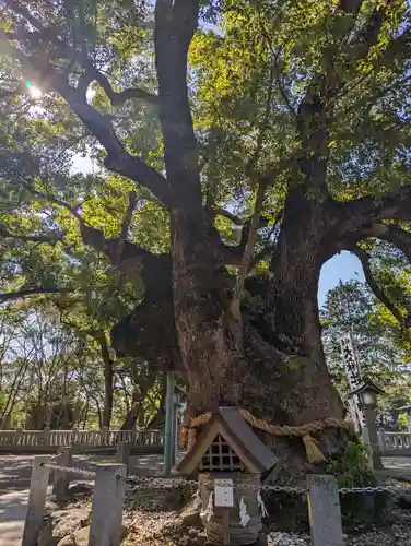 大麻比古神社(徳島県)