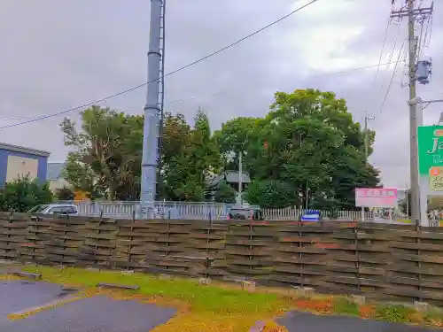 熊野社（江森町）の自然