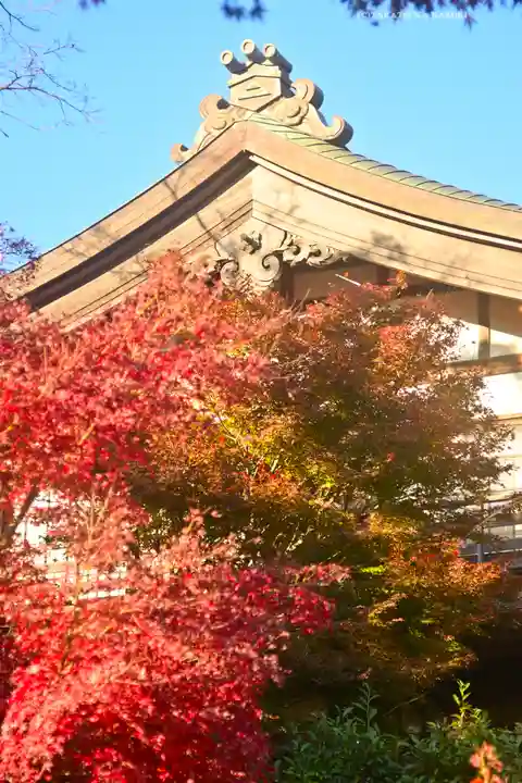 建長寺(神奈川県)