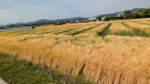 丹波国分尼寺跡（御上人林廃寺）(京都府)