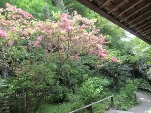 安國論寺（安国論寺）の庭園