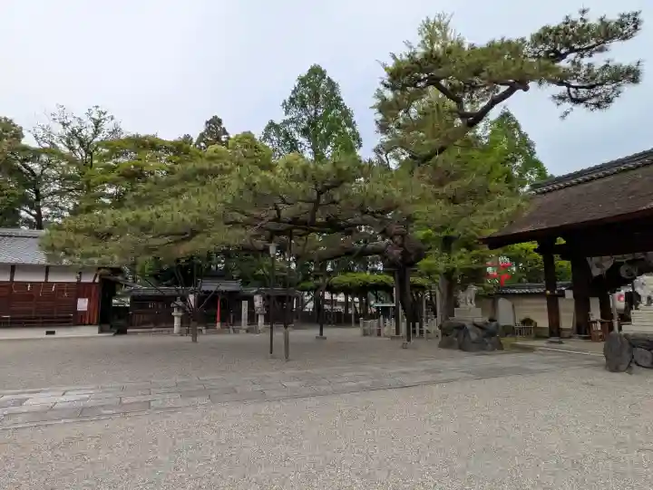 立木神社の{uncategorized: "未分類", other: "その他", undefined: "問題あり", building: "その他建物", grave: "お墓", sacred_gate: "鳥居", guardian: "狛犬", statue: "像", buddha: "仏像", history: "歴史", nature: "自然", garden: "庭園", animal: "動物", pagoda: "塔", temizu: "手水舎", mountain_gate: "山門・神門", sanctuary: "本殿・本堂", subordinate: "末社・摂社", art: "芸術", scenery: "景色", jizo: "地蔵", ema: "絵馬", goshuin: "御朱印", omikuji: "おみくじ", items: "授与品その他", amulet: "お守り", goshuincho: "御朱印帳", eats: "食事", festival: "お祭り", votive_dance: "神楽", shichigosan: "七五三参", wedding: "結婚式", experience: "体験その他", initially: "初詣", around: "周辺", anti_infection: "感染症対策"}