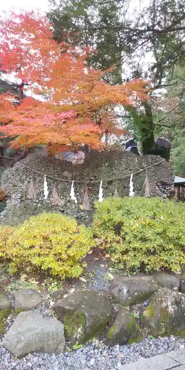 諏訪大社下社秋宮の自然