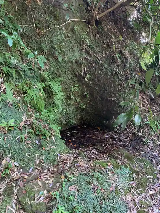 諏訪神社の自然