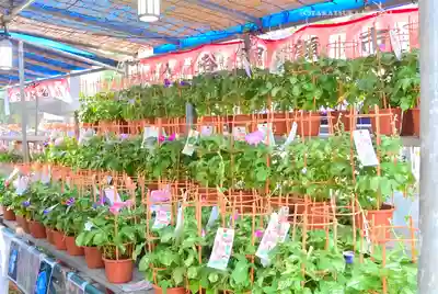 真源寺（入谷鬼子母神）(東京都)