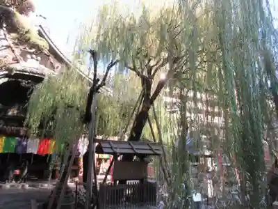 頂法寺（六角堂）(京都府)