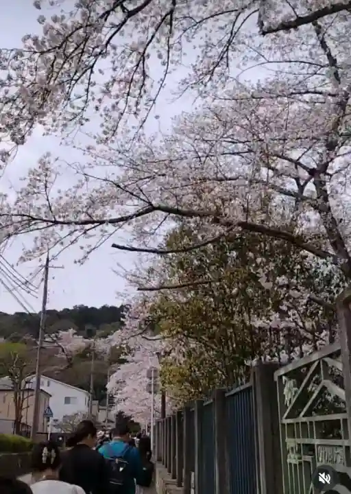 園城寺(三井寺)(滋賀県)