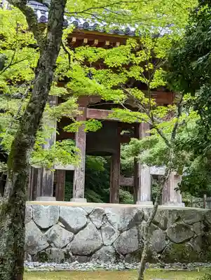 醍醐寺(京都府)