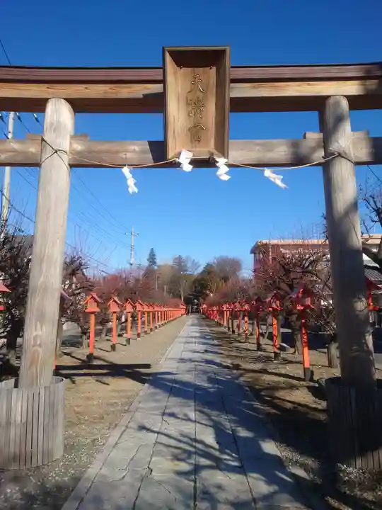 朝日森天満宮(栃木県)