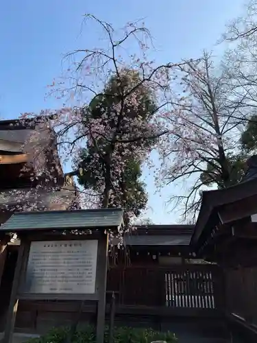 大國魂神社(東京都)