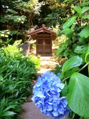 渋谷氷川神社(東京都)
