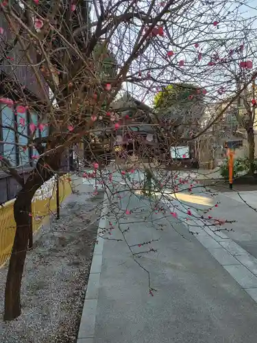 猿田彦神社(東京都)