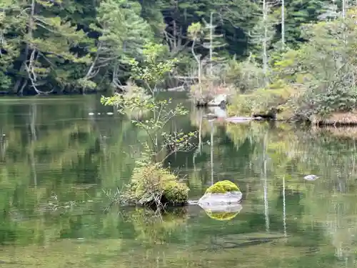 穂高神社奥宮の自然