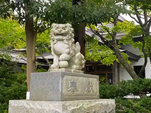 横浜八幡神社の狛犬