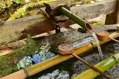 白山神社(長滝神社・白山長瀧神社・長滝白山神社)(岐阜県)