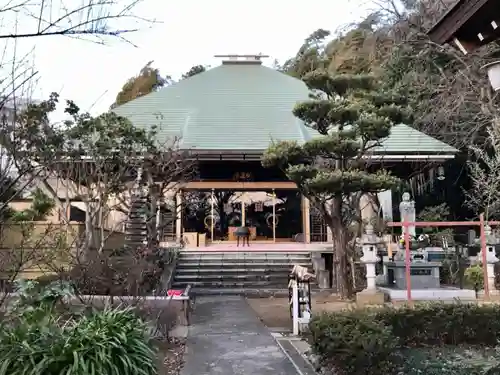 妙蓮寺の本殿・本堂