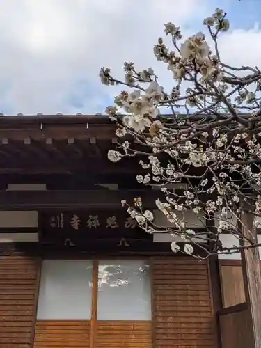 西照寺(東京都)