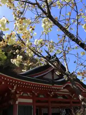 夫婦木神社姫の宮の{uncategorized: "未分類", other: "その他", undefined: "問題あり", building: "その他建物", grave: "お墓", sacred_gate: "鳥居", guardian: "狛犬", statue: "像", buddha: "仏像", history: "歴史", nature: "自然", garden: "庭園", animal: "動物", pagoda: "塔", temizu: "手水舎", mountain_gate: "山門・神門", sanctuary: "本殿・本堂", subordinate: "末社・摂社", art: "芸術", scenery: "景色", jizo: "地蔵", ema: "絵馬", goshuin: "御朱印", omikuji: "おみくじ", items: "授与品その他", amulet: "お守り", goshuincho: "御朱印帳", eats: "食事", festival: "お祭り", votive_dance: "神楽", shichigosan: "七五三参", wedding: "結婚式", experience: "体験その他", initially: "初詣", around: "周辺", anti_infection: "感染症対策"}