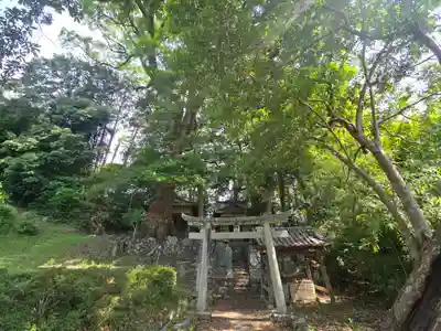 八幡宮社(長峰八幡宮)(京都府)