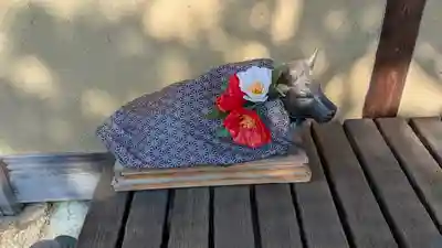 大松禅寺(京都府)