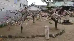 七尾神社の庭園