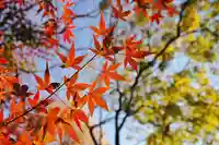 妙建山本立寺(東京都)