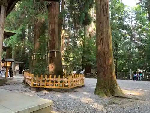 高千穂神社のその他建物