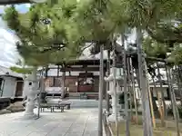 南蔵院の本殿・本堂