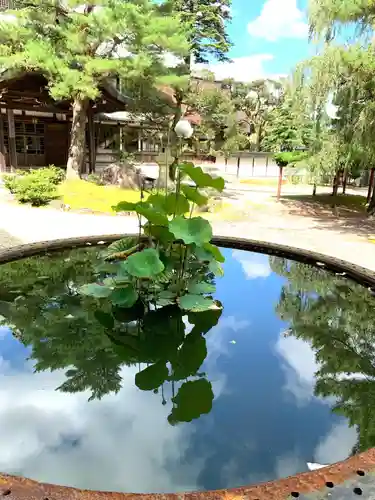 井波別院瑞泉寺の庭園