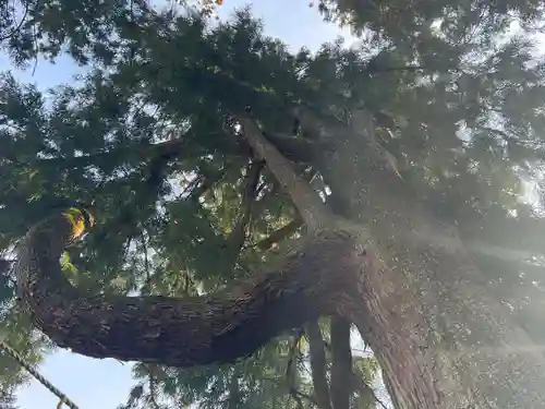 妙義神社(群馬県)