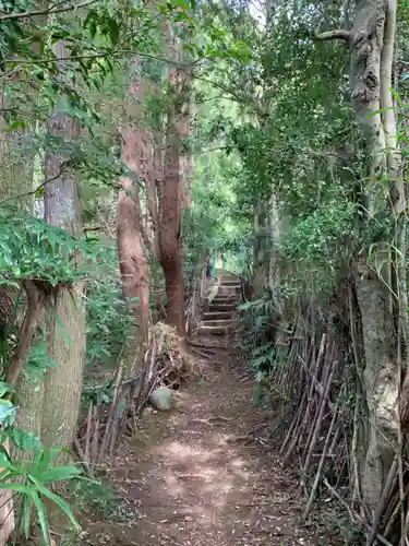 熊野神社の自然