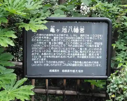 亀ケ池八幡宮の歴史