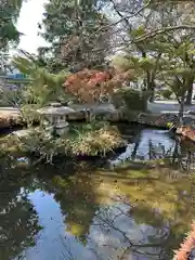 富士山本宮浅間大社(静岡県)