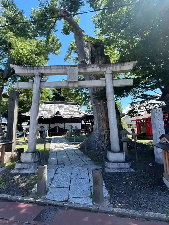 科野大宮社(長野県)