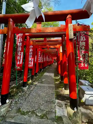 佐助稲荷神社の鳥居
