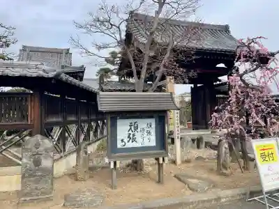 遍照院(埼玉県)