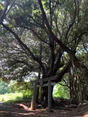 稲生大神(千葉県)