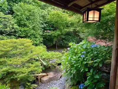 観智院（東寺子院）(京都府)