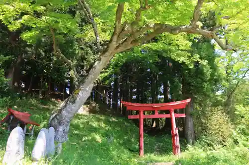 稲荷神社の鳥居