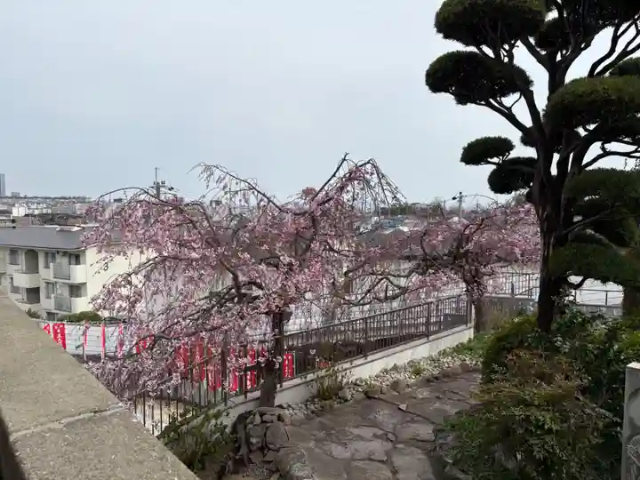 不動寺(大阪府)